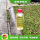重庆渝中饭店植物油环保无醇植物油燃料热值很高图