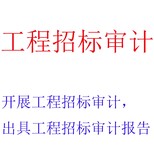 工程招标审计，财务审计报告，税收筹划，财务尽职调查，资产评估图片0