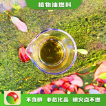 天津河东植物油前景节能生物燃油厨房油,无水乙醇燃料图片4