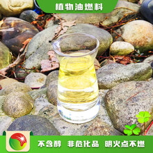 重庆渝中植物油厂家环保无醇植物油燃料自主研发,无化学原料植物油燃料图片