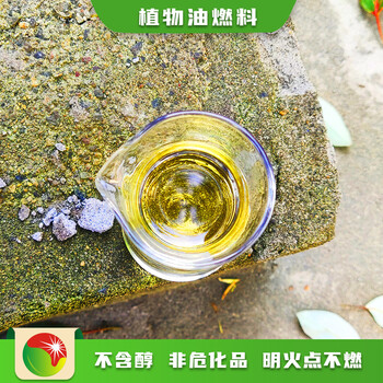 浙江温州创业项目新型植物油水性燃料点不燃