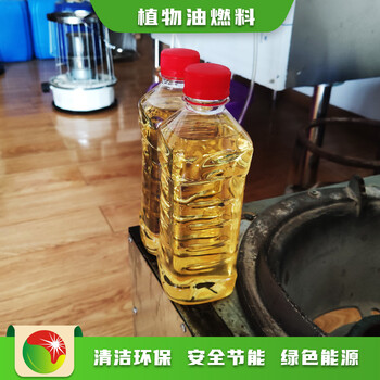甘肃甘南投资小项目新型植物油燃料厂家,生物燃料无醇燃料