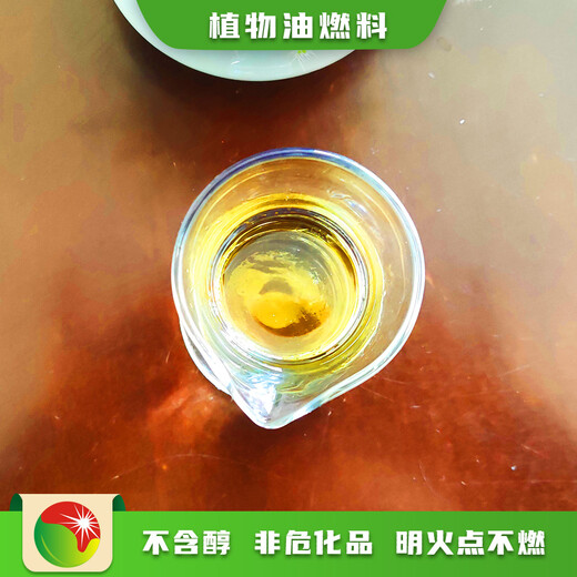 天津清洁燃料新源素植物油简单配方