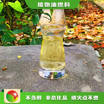 山东菏泽气推灶具节能生物燃油出库价,明火点不燃燃料