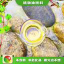 石家莊新樂節(jié)能好項(xiàng)目植物油水燃料性能可靠,無醇燃料水性燃料