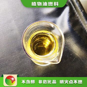 广东深圳智能化生产80号植物油燃料代理商报价,节能安全民用油
