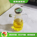 天津后厨燃料厨房植物油燃料是真的吗,明火点不燃燃料图片5