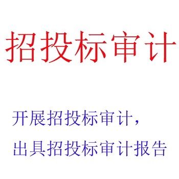 招投标审计，财务报表审计，税收筹划，财务尽职调查，资产评估