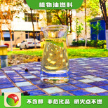 天津河东植物油前景节能生物燃油厨房油,无水乙醇燃料图片5