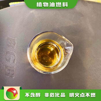 安徽芜湖返乡创业项目厨房白油燃料咨询电话,水燃料植物油燃料