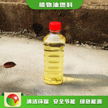 天津河东植物油前景节能生物燃油厨房油,无水乙醇燃料图片1