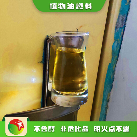 河北新乐民用油技术无醇植物油燃料厂家推广方式,植物油燃料技术配方