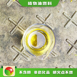 重慶渝中廚房燃料環保無醇植物油燃料生產工藝,無化學原料植物油燃料圖片0