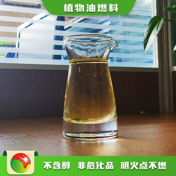 广东汕头热门项目80号植物油燃料报价及图片,节能安全民用油