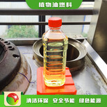 重庆植物油厂家明火点不燃燃料工艺流程教学,无醇燃料植物油燃料图片3