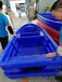 内江塑料渔船养殖船厂家直销,养殖塑料船