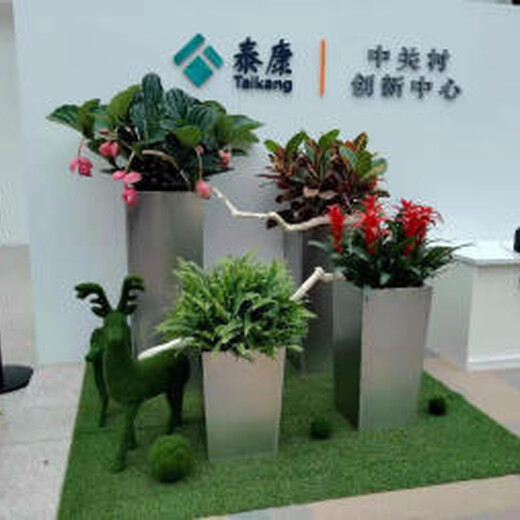 北京东城植物租赁