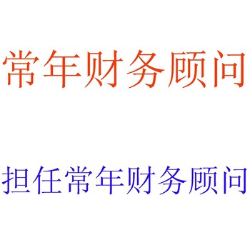 常年财务顾问，财务报表审计，税务筹划，财务尽职调查，资产评估