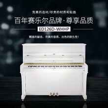 郑州中原区德国赛乐尔钢琴和kawai琴行图片