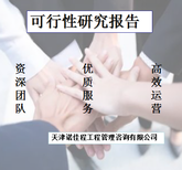 天津滨海代写可行性研究报告的公司推荐有哪些图片2