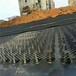 蓝森复合排水板,生产蓝森排水板性能可靠