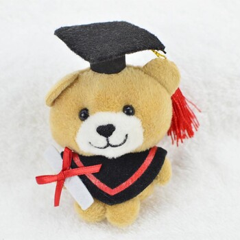 熊毛绒玩具泰迪熊毕业公仔博士学校毕业礼物定制创意玩偶送同学