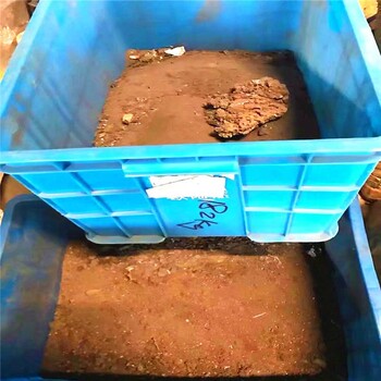 錫條和錫渣成都廢錫灰回收價格問天博錫業(yè)可靠價格