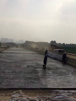 东城PB型道桥用防水涂料,道桥用聚合物防水涂料