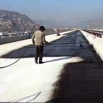 河西PB型道桥用防水涂料品质优良,PB型路桥防水涂料