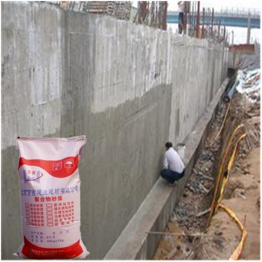 天津宁河干粉砂浆聚合物防水防腐砂浆价格聚合物修补加固砂浆