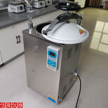 LS-100HD高压灭菌器立式压力蒸汽灭菌器,不锈钢消毒锅图片4