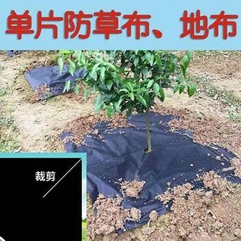 眉山柑橘园用防草布价格低，四川可降解防草布价格一平方多少钱