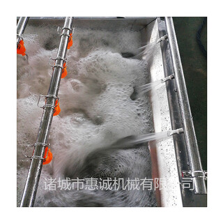 惠诚大型红枣节能清洗设备全自动气泡式瓜果气泡清洗机图片6