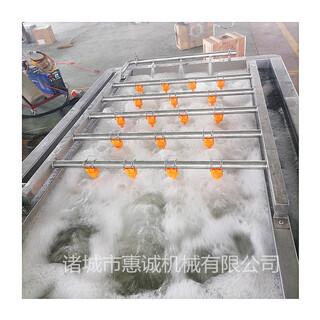 惠诚大型红枣节能清洗设备全自动气泡式瓜果气泡清洗机图片4