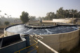 可靠绿谷通泰设备污水处理设备性能可靠,污水设备生产