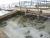 环保绿谷通泰设备污水处理设备信誉保证,污水设备生产