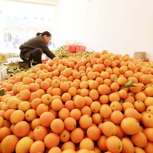 葫芦岛美国有机认证农产品区域公共品牌推广