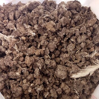 山東德州市質(zhì)量好的曬干雞糞塊廠家雞糞農(nóng)家肥
