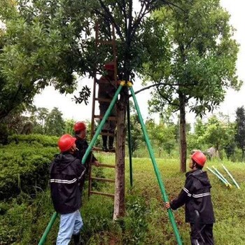 河北定制建诚玻璃钢树木支撑杆质量可靠,新型树木支撑架