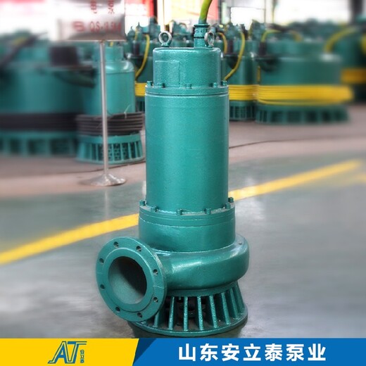 上海WQB防爆潜污泵好用吗,不锈钢防爆泵