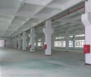 东莞企石钢结构厂房出租可办环评,工业厂房出租