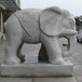 广西景区石雕象母子象
