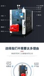 贵州新款燃气蒸汽发生器市场报价,燃气蒸汽锅炉图片2