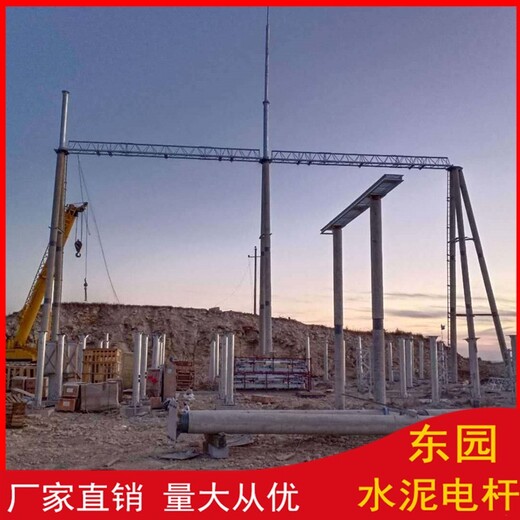 北京18米电线杆定制生产东园水泥制品