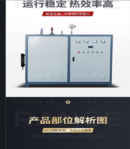 重庆环保生物质蒸汽锅炉多少钱