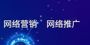 以效果为导向-栖霞网络推广公司图片4