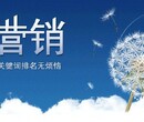 以效果为导向-金坛网络营销推广公司图片