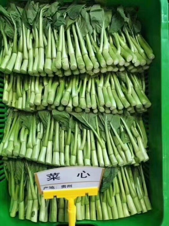 深圳光明
