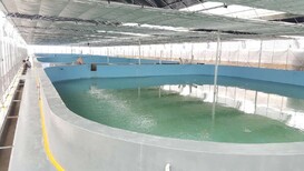 海容工厂化养殖,怀柔泡沫鱼池电话图片2