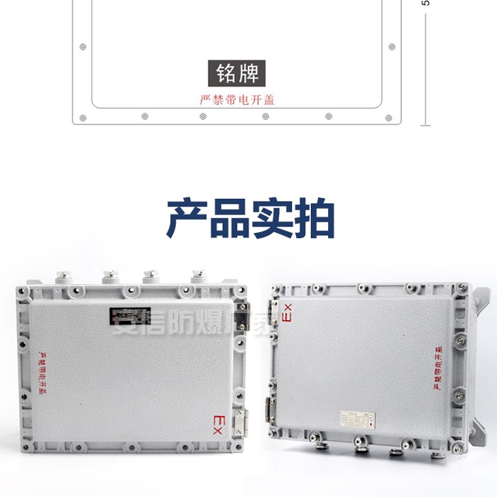 400300防爆配电箱照明动力接线箱不锈钢空箱控制柜应急